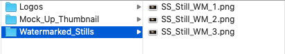 File Naming Convention